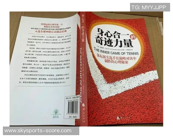 网球战术解析：上海网球队如何构建整体压制体系与战术优势