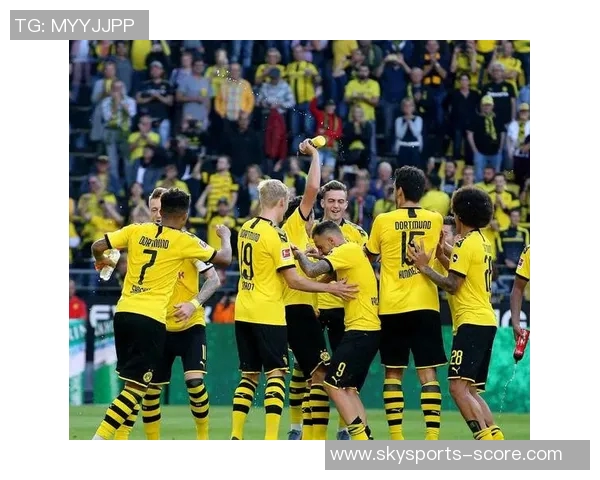 意甲精彩对决多特蒙德逆转波尔图帽子戏法点燃全场激情